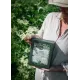 Hylleblomstsirup 3L