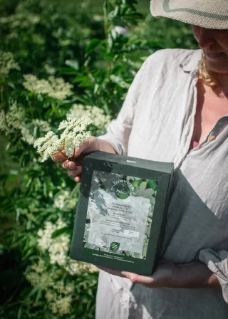 Hylleblomstsirup 3L