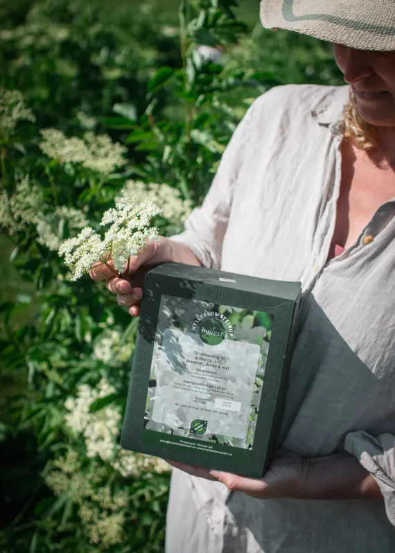 Hylleblomstsirup 3L