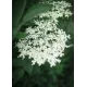 Hylleblomstsirup 3L